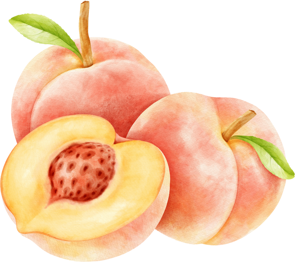 watercolor peach fruits