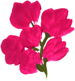 Magenta Painted Flower