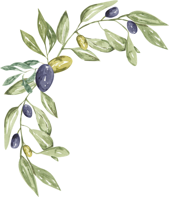 Watercolor polygonal golden frame with olive tree branch, black olives and leaves