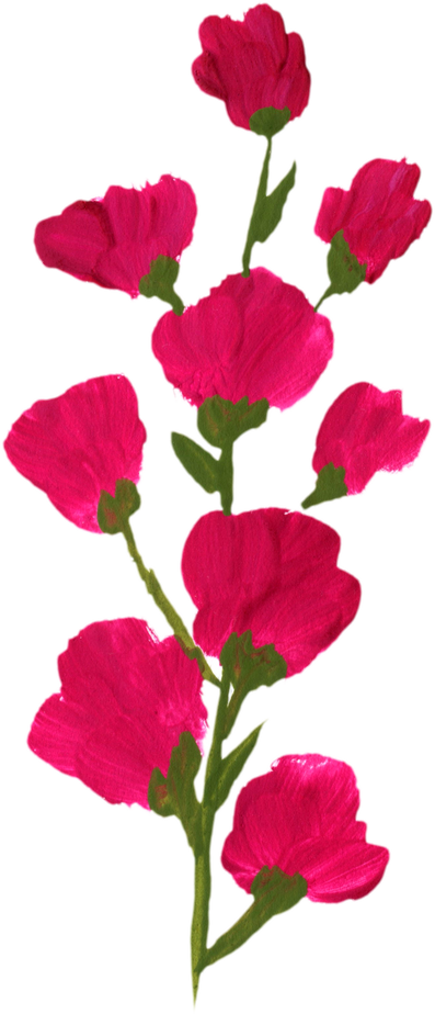 Magenta Painted Flower